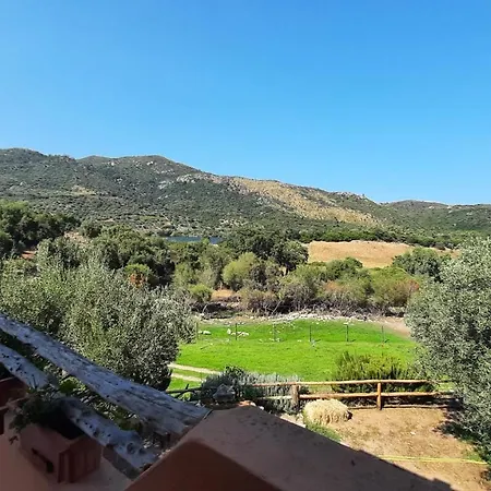 Séjour à la campagne Agriturismo Nuraghe Murtarba *