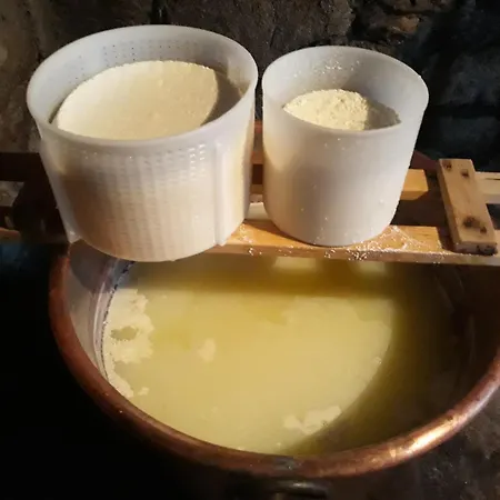 Agriturismo Nuraghe Murtarba *