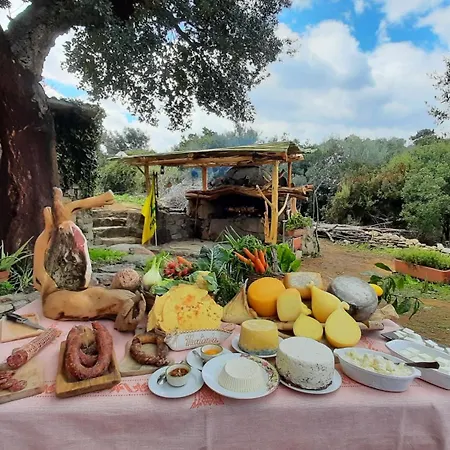 Agriturismo Nuraghe Murtarba * Villagrande Strisaili