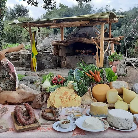 Casa di campagna Fattoria Nuraghe Murtarba Villagrande Strisaili