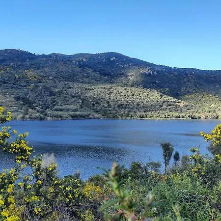 Agriturismo Nuraghe Murtarba *
