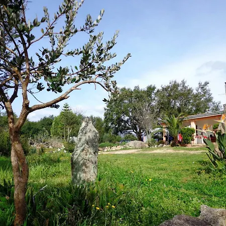 Fattoria Nuraghe Murtarba *
