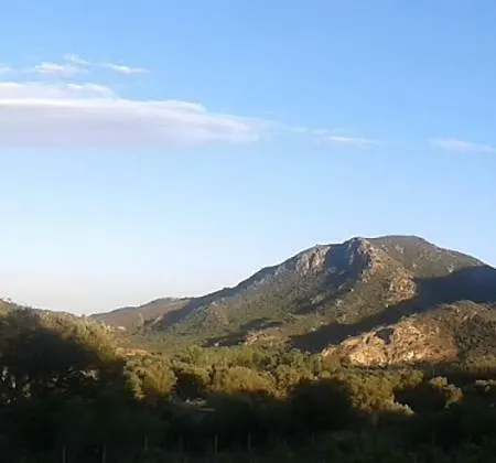 Agriturismo Nuraghe Murtarba Séjour à la campagne