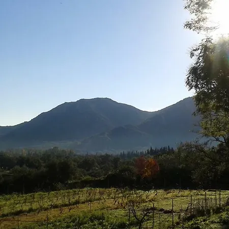 Agriturismo Nuraghe Murtarba Séjour à la campagne