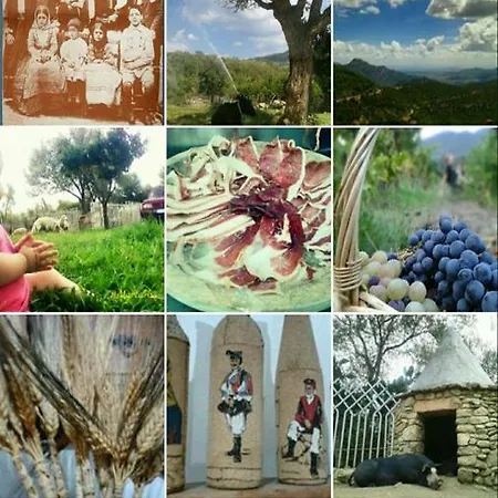 Fattoria Nuraghe Murtarba * Villagrande Strisaili