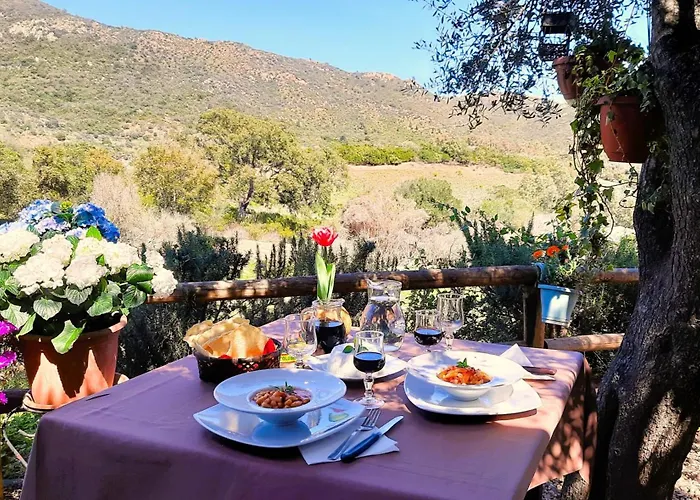 Agriturismo Nuraghe Murtarba